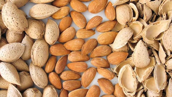 تصویر 1 از خرید بادام مامایی خام + قیمت فروش استثنایی
